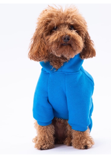 Mavi Kanguru Cepli Kedi-köpek Hoodie- Sweatshirt Kedi Köpek Kıyafeti