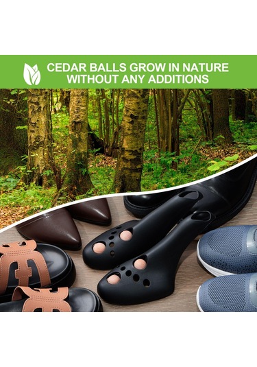 Homyl Ayakkabı Ağacı Pratik Yüksek Topuklu Sedyesi Kırma L Siyah