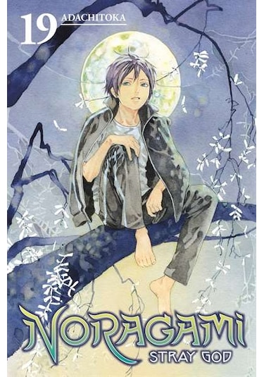 Noragami: Stray God 19 9781632364395