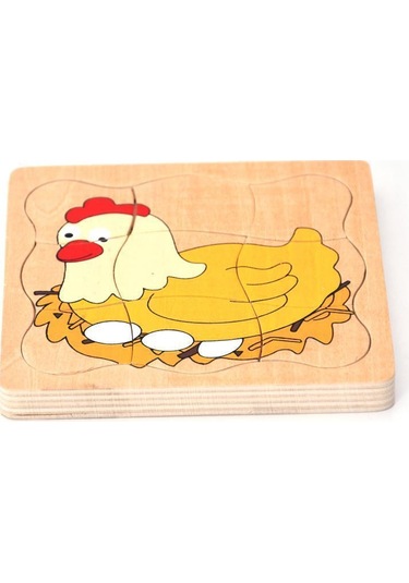 Tavuk Gelişim Evreleri Puzzle