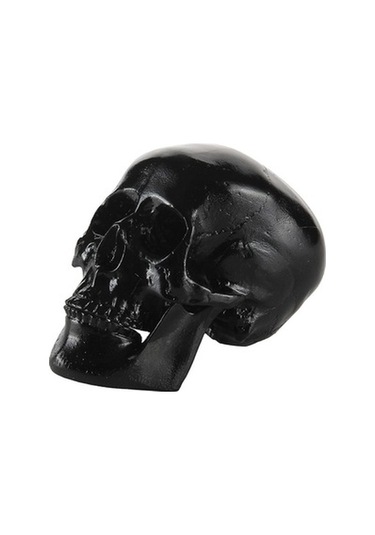 Lijinxu Reçine Çoğaltma Sanat İnsan Kafatası Modeli Parti