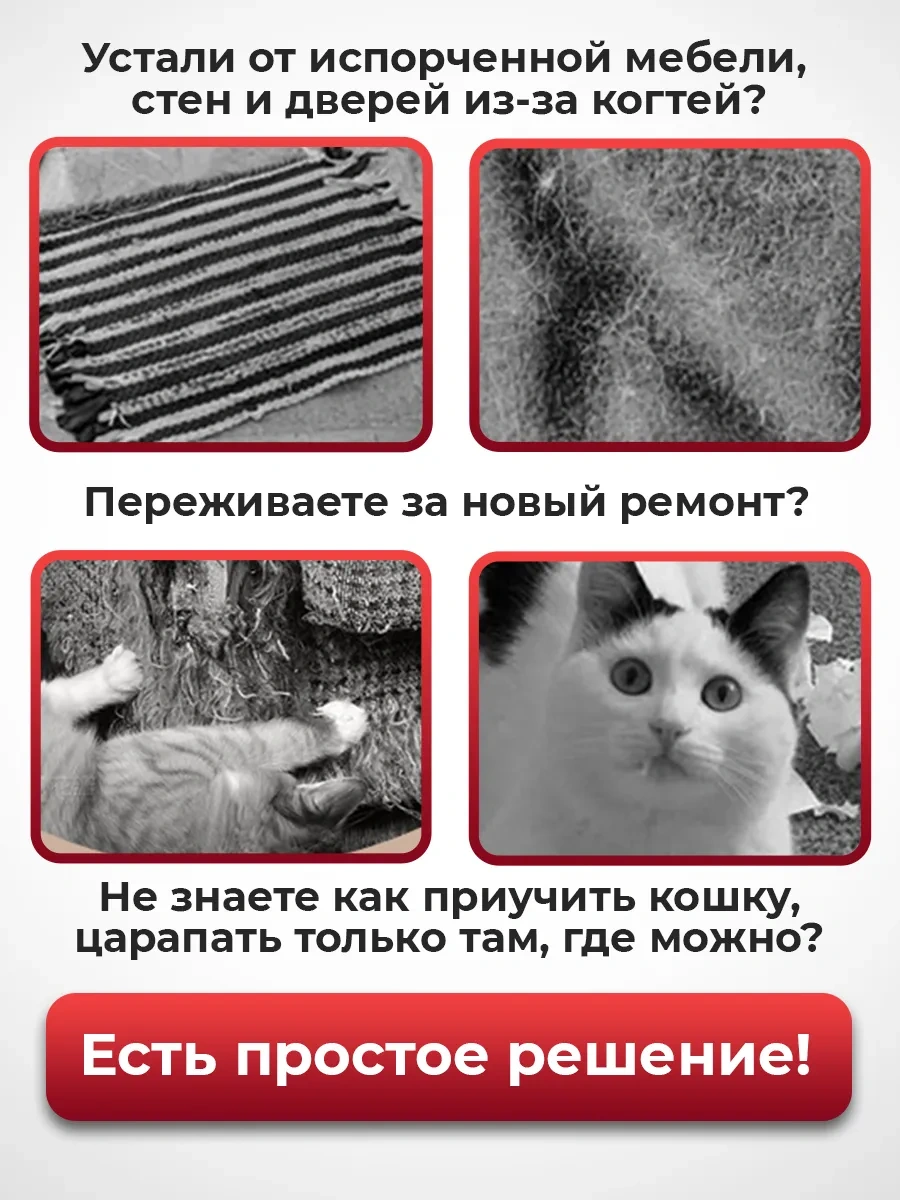 Conflate Kedi Tırmalama Tahtası Kendinden Yapışkanlı 307364958