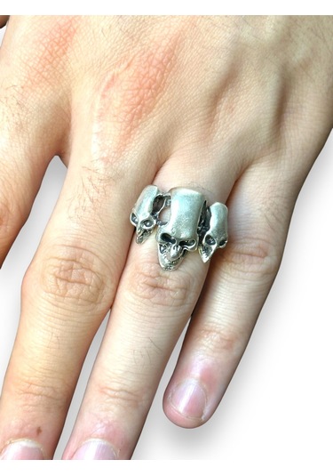 Takı Dükkanı Üç Boyutlu Kuru Karaflı Boyu Ayarlanabilir Erkek Yüzük Bby27 Gümüş