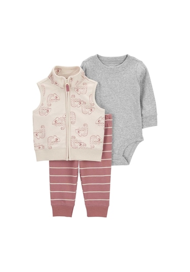 Carter's Erkek Bebek 3'lü Yelekli Set 1o963310 Karışık Renkli 001