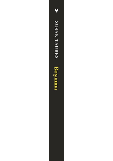 Boşanma / Susan Taubes