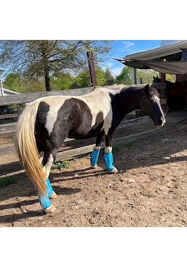 Elmpaly 4 Parça Siyah Nefes Alabilir At Sinek Botu - Hafif Polyester Sinek Koruma