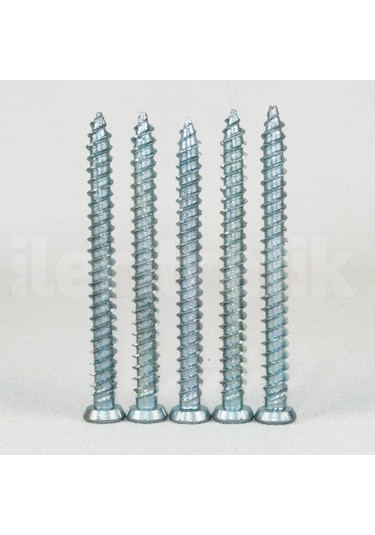 Buton Montaj Vidası ve Dubeli 20 Adet N11.14248