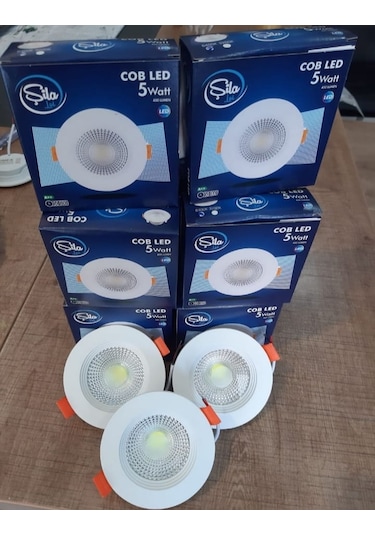 10 ADET 5 W BEYAZ KASA & BEYAZ IŞIK COB LED