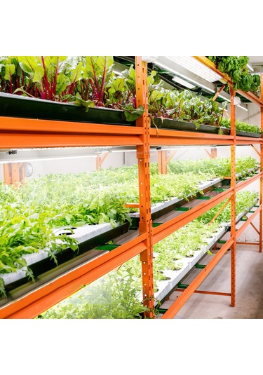 Reedark Bitki Büyüme Lambası - 6 Aydınlık Seviyeli, Akıllı Zamanlayıcılı, Full Spektrum Led Panel 30x8cm Diğer