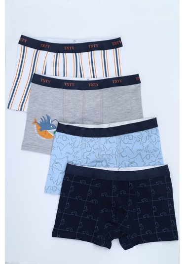 Toontoy Erkek Çocuk Çizgili Desenli Baskılı 4lü Paket Boxer Çok Renkli