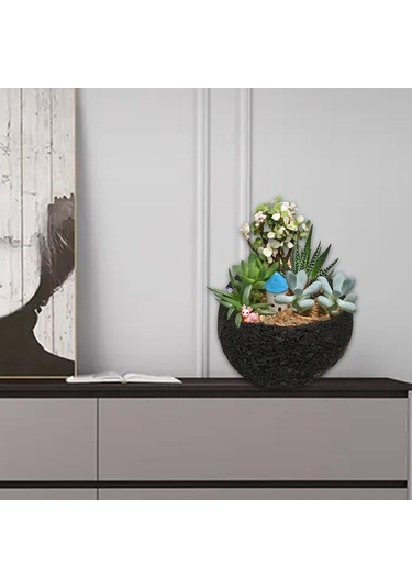 Pazly Uzay Suntek Soyut Saksı Reçine Göktaşı Etli Uw