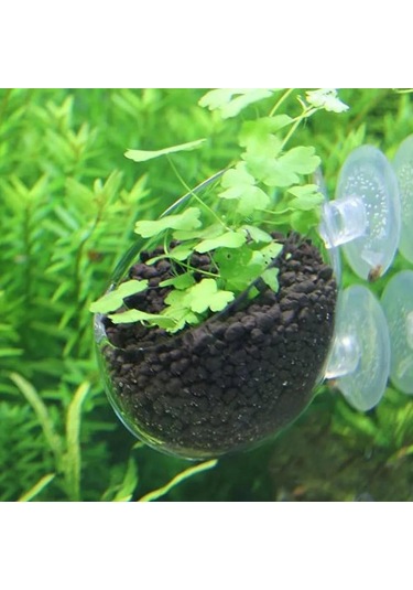 Geekyou Akvaryum Cam Bitki Kabı - Süper Emici Ocaklı, Alçak Delikli, Işık Emici, Su Kalitesi İyileştirici, Tüm Su Tipleri İçin Dekor Aksesuarı