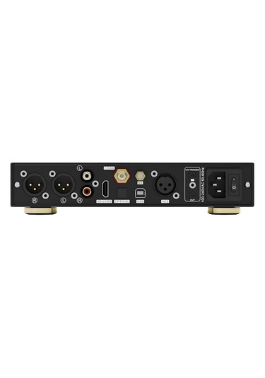 Centaurus Fully Balance High Performance R2r Dac Black