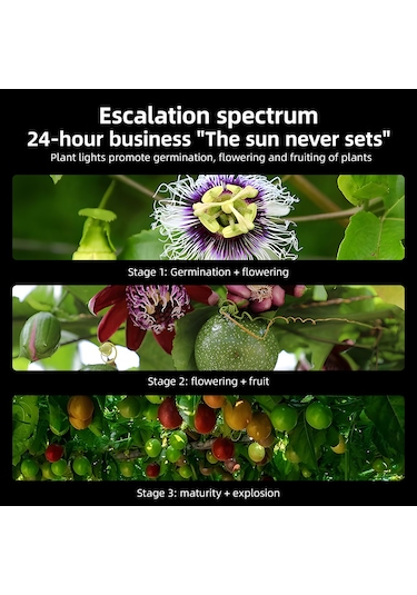 Ximistore9 40w Tam Spektrum Bitki Büyüme Lambası, 156 Led, 122 Aydınlatma Açısı, 3262lm, Ac100-277v, Dış Mekan Seracılık Fito Lambası Avrupa Şarjı Beyaz