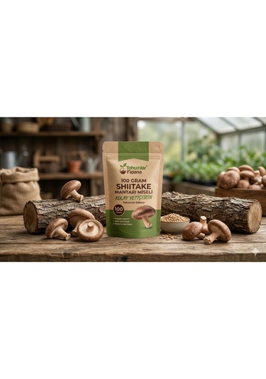 100 Gram Shiitake Mantar Tohumu Miseli