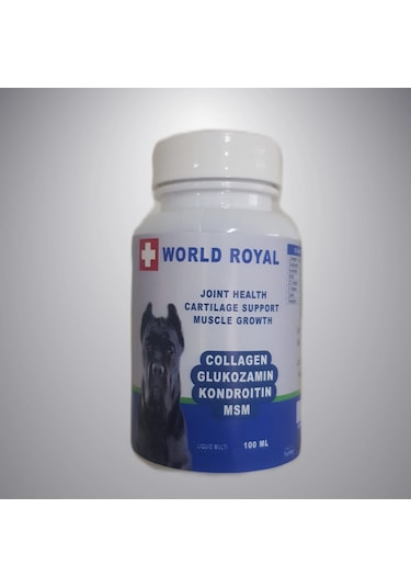 Collagen Glukozamin Kondroitin Msm 100 ML