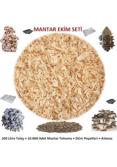 İstiridye Mantarı Ekim Seti