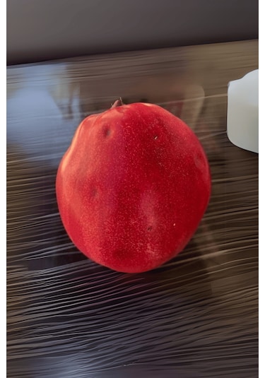 Aşılı Vahapbey Kırmızı Ayva Fidanı 3 Yaş