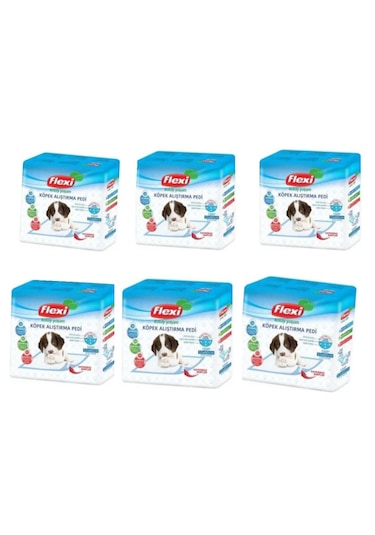 Flexi Kaydırmaz Bantlı Çiş Pedi 6 x 10'lu 55 x 60 CM