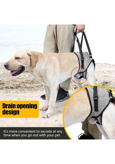 Wezone Yaşlı Ve Engelli Köpekler İçin Destekli Yürüyüş Askısı - Rahat Ve Ayarlanabilir Xl Boy Gri Tasarım Gri