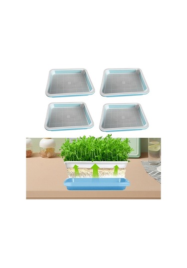 Trendooze 4 Adet Bahçe Filizleme Tepsisi Buğday Çimi Seti