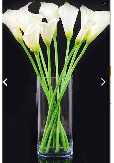 Dekoratif Silindir Cam Bambu Canlı Kuru Çiçek Vazo 10x20 Cm