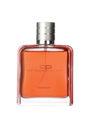 Patrick Paurin Strategist Erkek Parfüm EDT 100 ML
