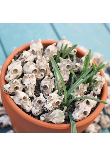 Suntek 20 Adet Ejderha Kemik Oyun Seti Heykel Vazo Dolgu 2.3cmx1.5cm