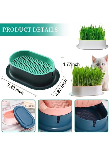 Mufunye Kedi Çimi Ekici Hidroponik Yetiştirme Kiti İç Mekan İçin Topraksız Kedi Nanesi Buğday Çimi B