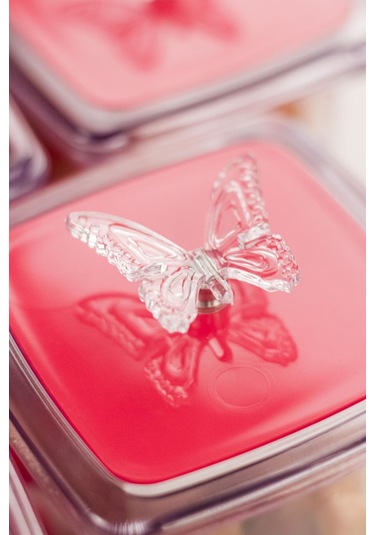 Akrilik Fuşya 12 Li Baharat Kavanozu& Baharatlık & Baharatlık Seti 200 ML ( CAM DEĞİLDİR ) Fuşya