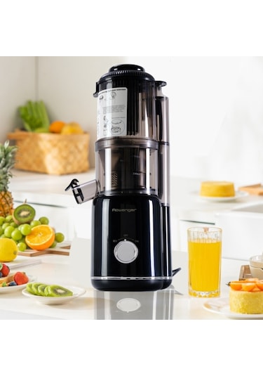 Rowenger PUE-2109N Slow Juicer Yavaş Sıkım Katı Meyve Sıkacağı
