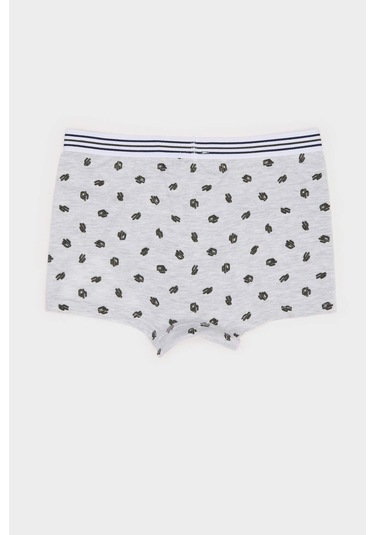 DeFacto Erkek Çocuk Kaktüs Desenli 3'lü Boxer E6871A825SPWT34 DeFacto Erkek Çocuk Kaktüs Desenli 3'lü Boxer E6871A825SPWT34