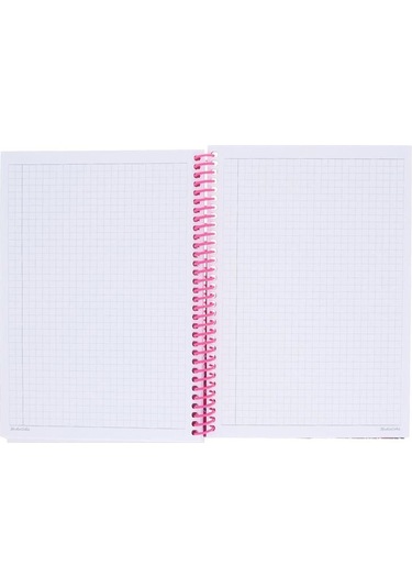 L.O.L.Kareli Spr.K.Kapak Süprizli Defter A5 80Yp Keskin