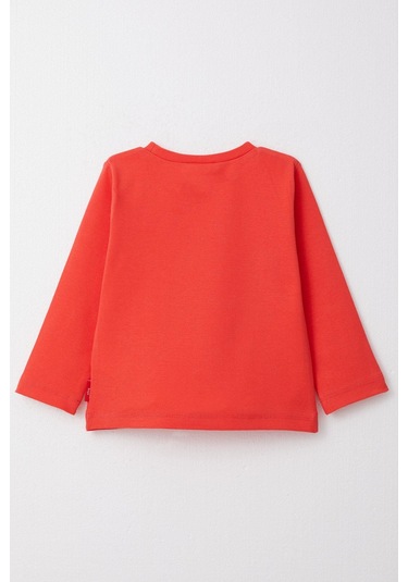 Breeze Erkek Çocuk Uzun Kollu Tişört Basic 1-4 Yaş, Narçiçeği-narçiçeği Narçiçeği