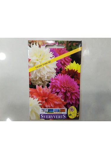 Yıldız Çiçeği Tohumu Paket N115796