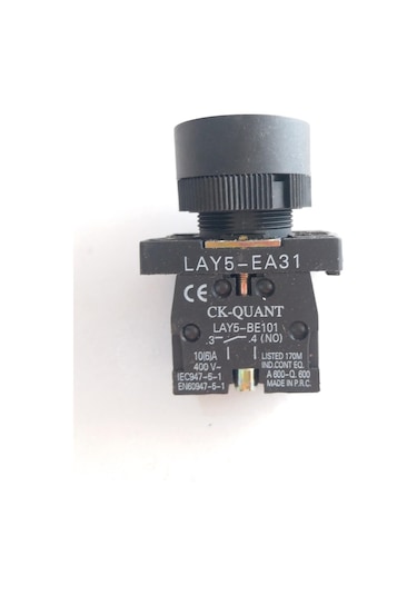 QUANT LAY5 EA 31 START BUTONU