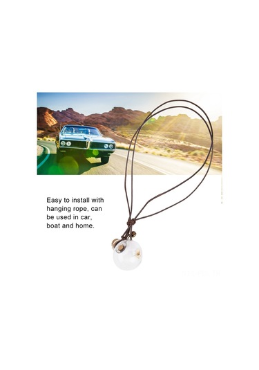 Padalink Kuru Çiçekli Cam Kugel Oto Kokusu Flakon - Takmaçlı Asma Tasarım, Kendi Kokunu Ekleyin, Araba/ev Dekorasyonu 2.8