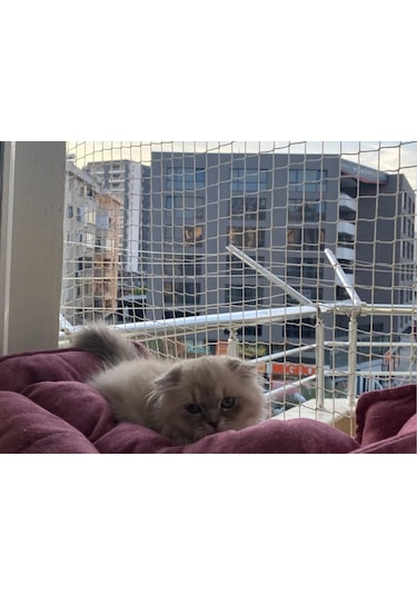 Kedi Filesi - Kedi Ağı - 4cm Göz Aralığı