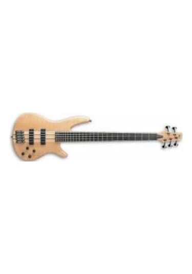Ibanez Sr1005Efmntf Bas Gitar 5 Telli-Kutulu Kore Ibanez Kore