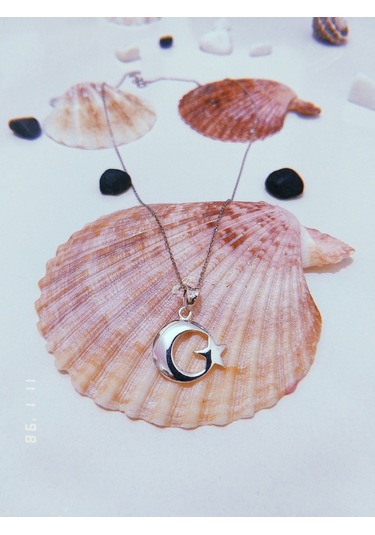 925 Ayar Gümüş Ay Yıldız Kolye (314038778)