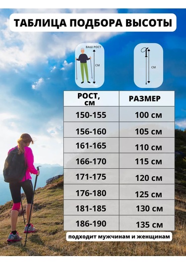 Advance-stick Teleskopik İskandinav Yürüyüşü Soporları 236517431 Gümüş
