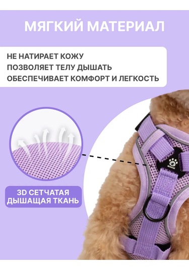 Tori Küçük Ve Orta Irklar İçin Tasmalı Köpek Kayışı Ve Kedi Şeridi 481276812