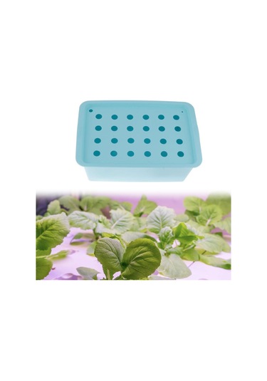 Suntek Parterre Bahçe Marul Mavisi Için 24 Site Fidanlık Mavi