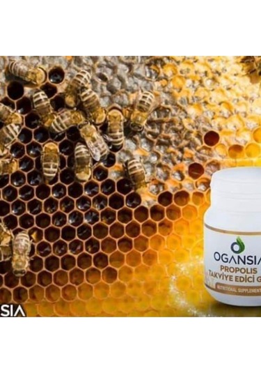 Ogansia Propolis 600Mgx60 Tablet