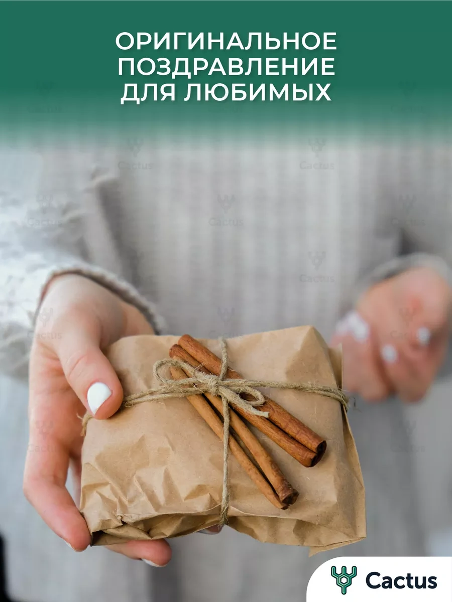 Cactus Kraft Kağıttan Küçük Hediyelik Poşetler, 50 Adet 186096226