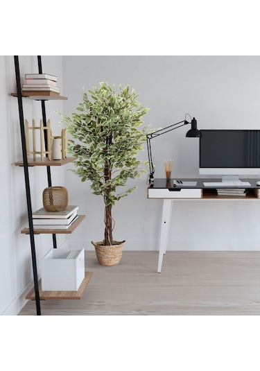 Yapay Ağaç Benjamin Yeşilbeyaz 2 Gövdeli Çalılı 165*80cm Siyah Plastik Saksılı