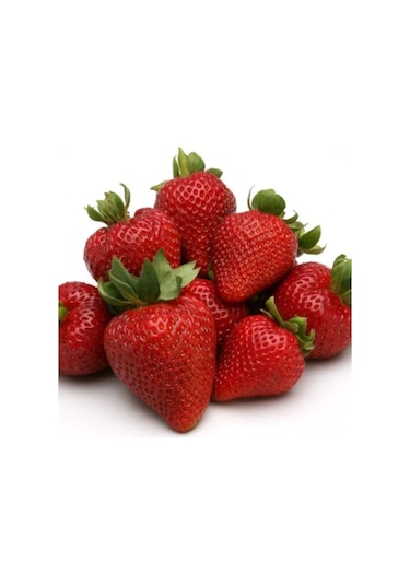 AGRodal Tarım Ata Tohumu Yerli Çilek Tohumu 100 Adet Tohum