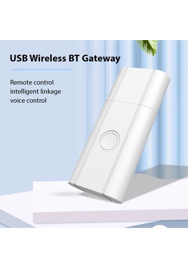 Akıllı Ev Bt Ağ Geçidi Merkezi Kontrol Sistemi Taşınabilir Hs7869