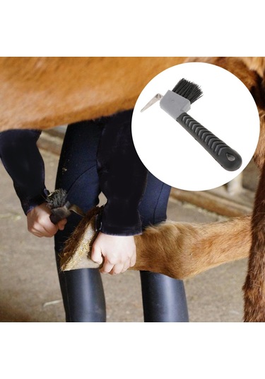 Homyl At Toynağı Seçim Fırçası Binicilik Renk-rastgele Renk Rastgele