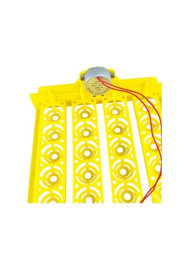 Pazly Yumurta Yumurta Tepsisi Tavuk Suntek Otomatik Çevirme 24 Cx